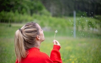 La Verde Contea: Un Naturale incanto