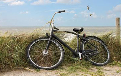 A mare in bici