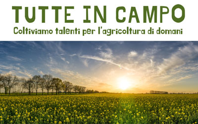 Webinar
